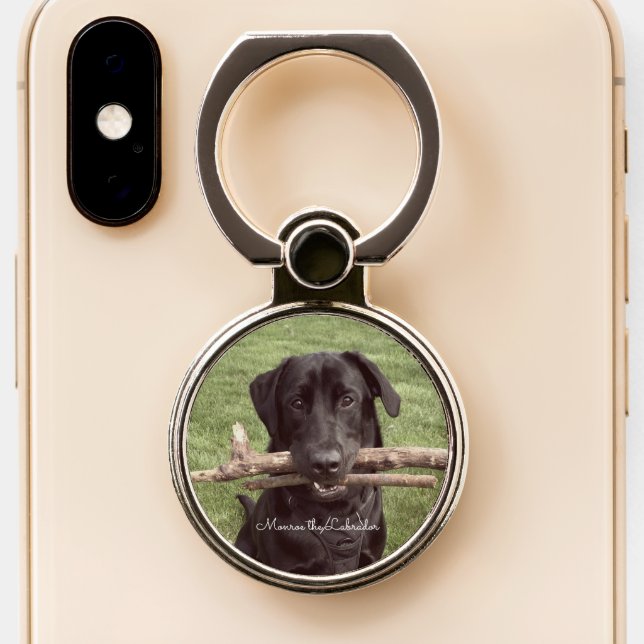 Black Lab with two sticks Dog Photo Ring Holder (Close Up)
