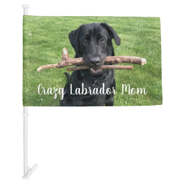 Black Lab with two sticks Personalized Photo Text Car Flag (Front)
