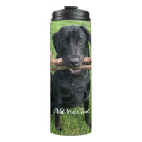 Black Lab with two sticks Pet Dog Photo and Name