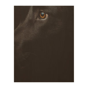 black lab wood wall art
