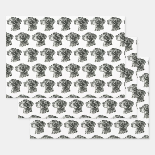 Black Lab Wrapping Paper Sheets (Set)