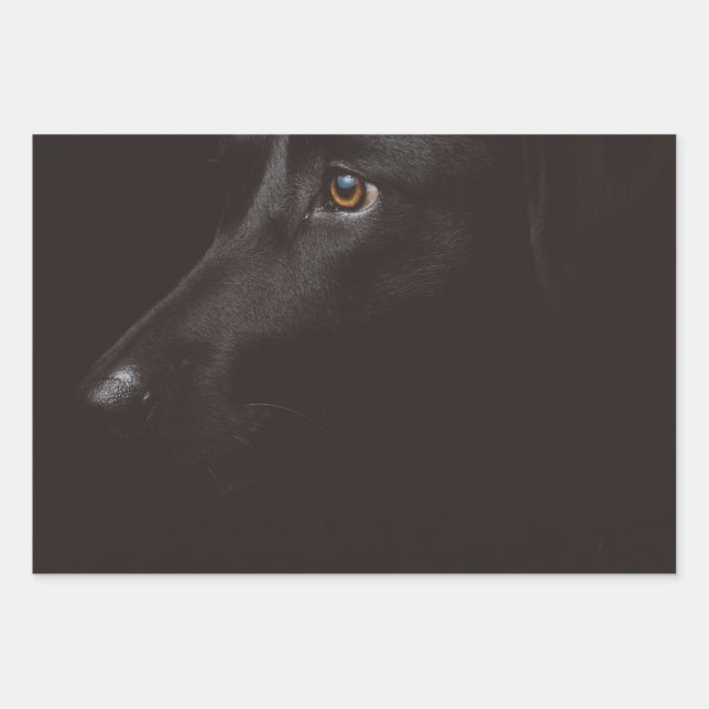 black lab wrapping paper sheets (Front)