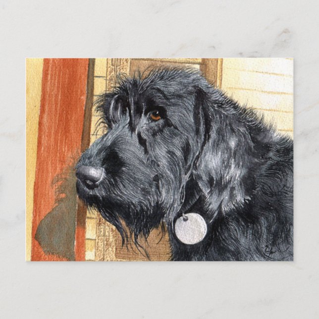 Black Labradoodle #1 Postcard (Front)