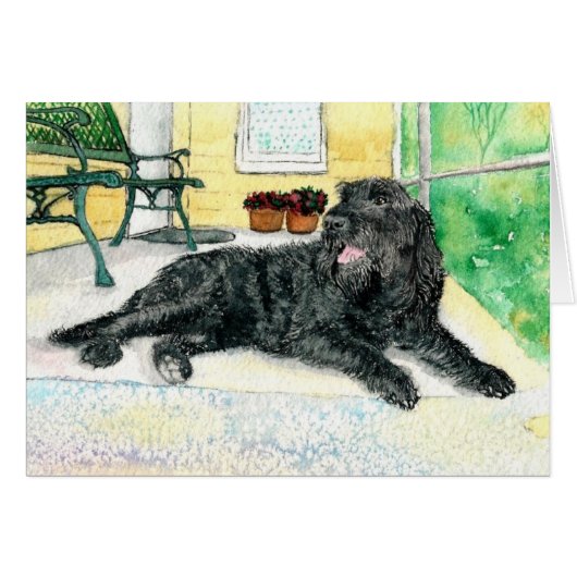 Black Labradoodle Cards (Front Horizontal)