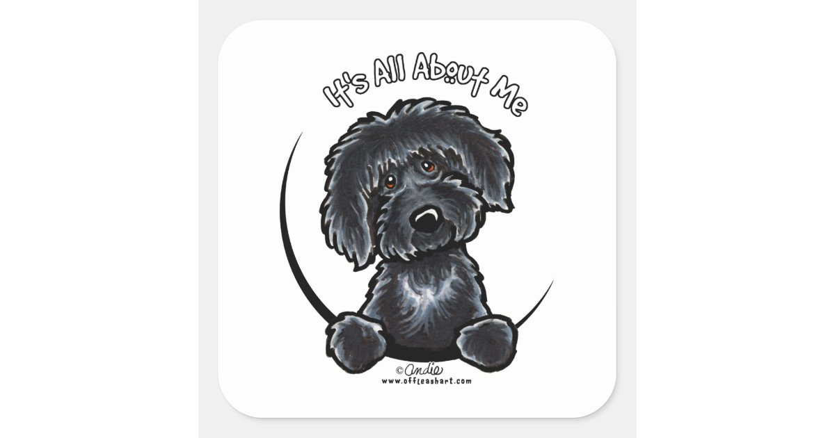 Black Labradoodle IAAM Square Sticker | Zazzle