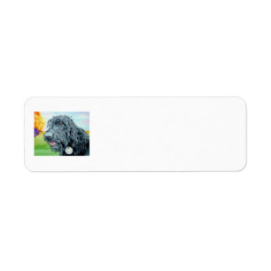Black Labradoodle Label