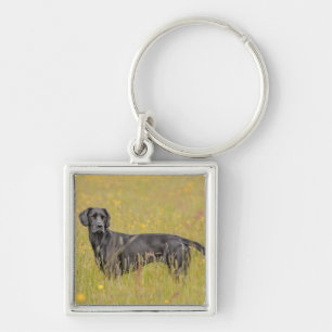 Black labrador 16 Months 2 Keychain