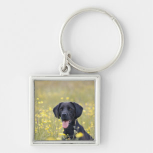 Black labrador 16 Months Keychain