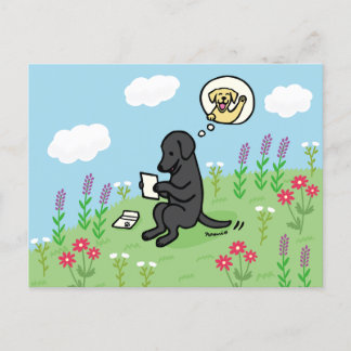 Black Labrador and Letter from a Friend Postcard