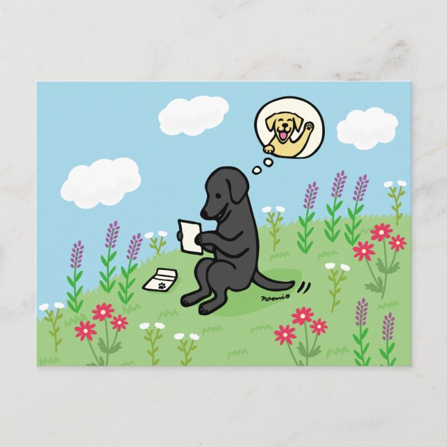 Black Labrador and Letter from a Friend Postcard (Front)