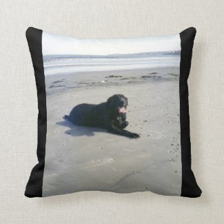 Black Labrador at Beach Throw Pillow