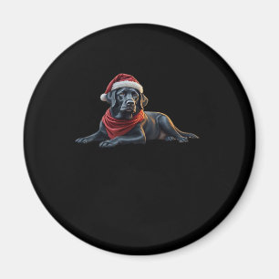 Black Labrador at Christmas in Santa Hat and Scarf Magnet