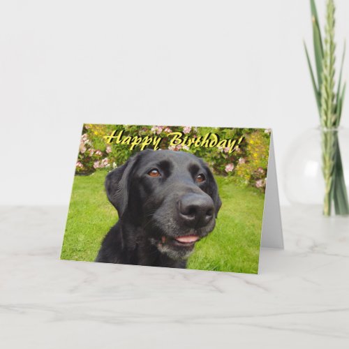 Black labrador birthday card