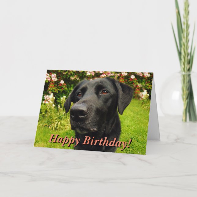 Black labrador birthday card (Front)