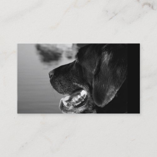 BLACK LABRADOR - Business Card Template