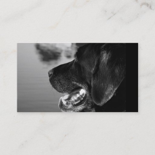 Customizable BLACK LABRADOR - Business Card Template