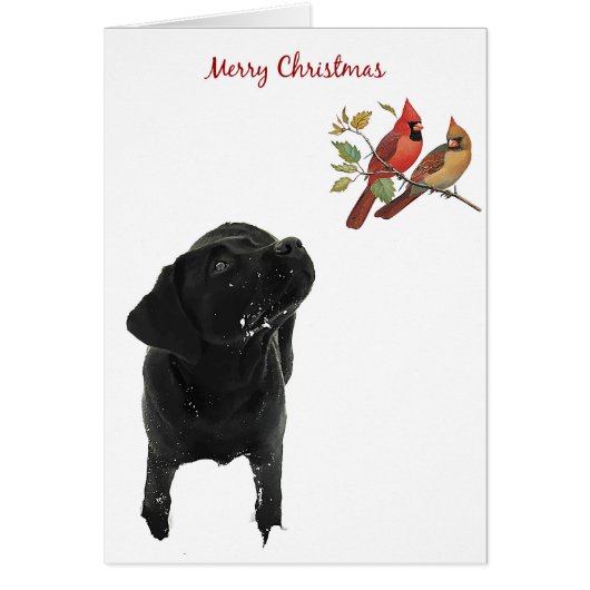 Black Labrador Christmas Card (Front)