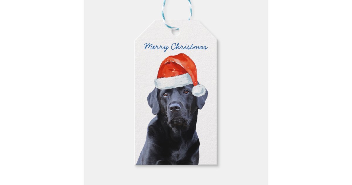 Night Before Christmas- Preppy Black Labs - Christmas - Posters