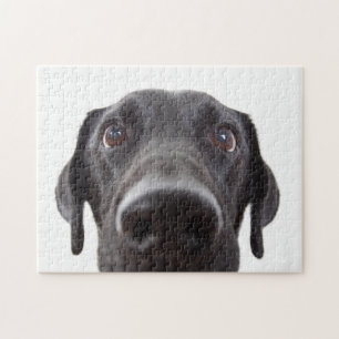 Black Labrador Closeup Portrait Jigsaw Puzzle