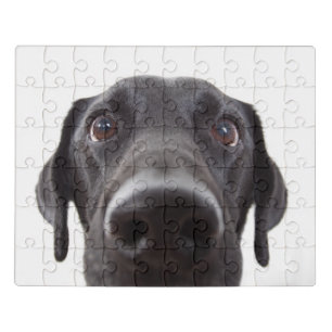 Black Labrador Closeup Portrait Jigsaw Puzzle