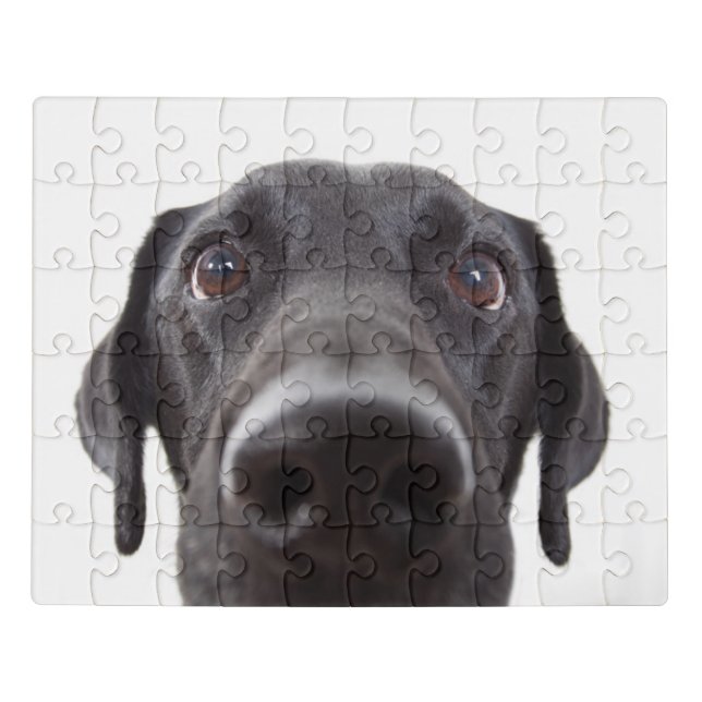 Black Labrador Closeup Portrait Jigsaw Puzzle (Puzzle Horizontal)