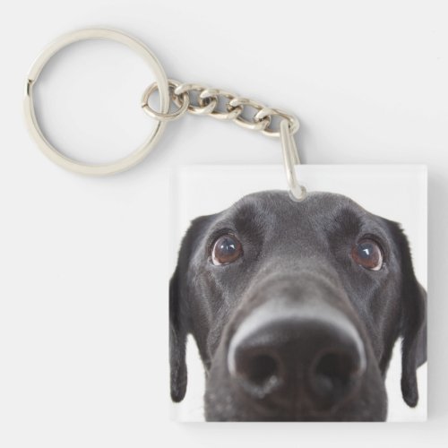 Black Labrador Closeup Portrait Keychain