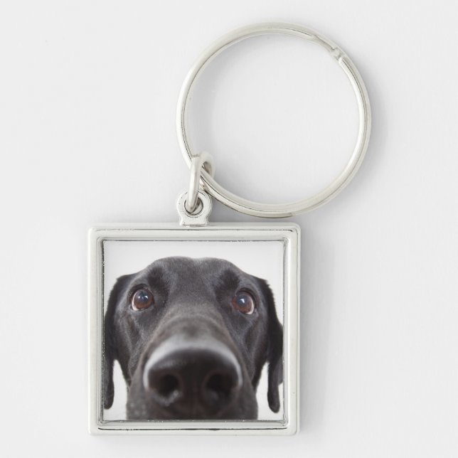 Black Labrador Closeup Portrait Keychain (Front)