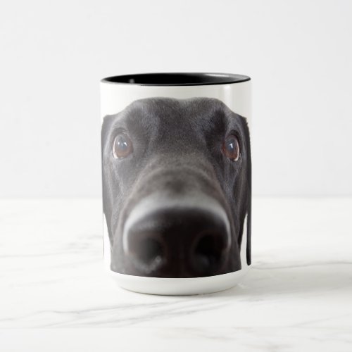 Black Labrador Closeup Portrait Mug