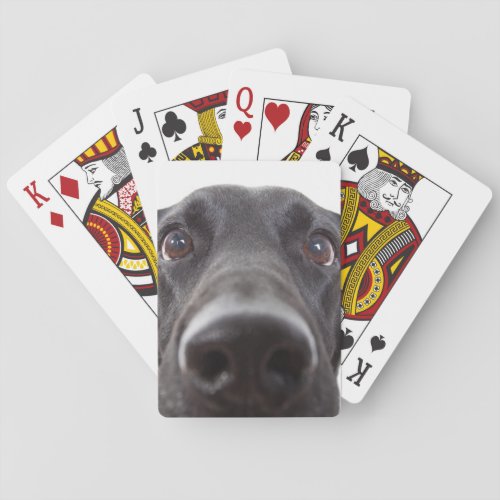 Black Labrador Closeup Portrait Poker Cards