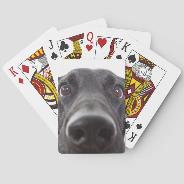 Black Labrador Closeup Portrait Poker Cards (Back)