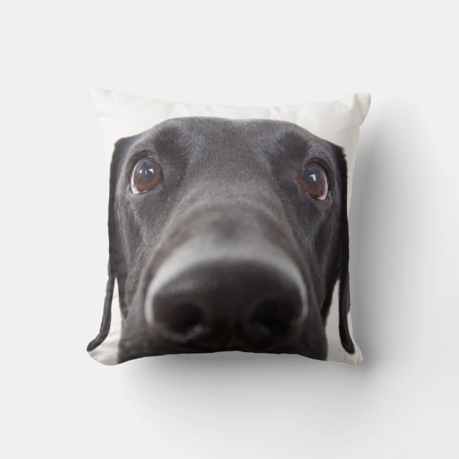 Black Labrador Closeup Portrait Throw Pillow (Front)