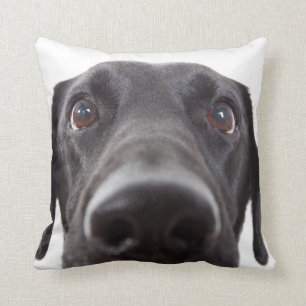 Black Labrador Closeup Portrait Throw Pillow