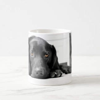 Labrador Coffee & Travel Mugs | Zazzle