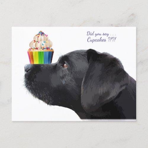 Black Labrador _ Did you say Cupcakes _ Dog Lover Postcard