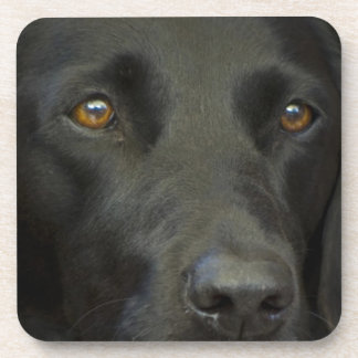 Black Labrador Dog Beverage Coaster