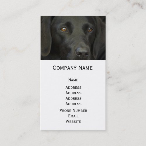 Black Labrador Dog Business Card