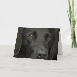 Black Labrador Dog Card