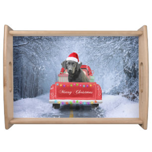 Black Labrador Dog in Snow sitting in Christmas Serving Tray