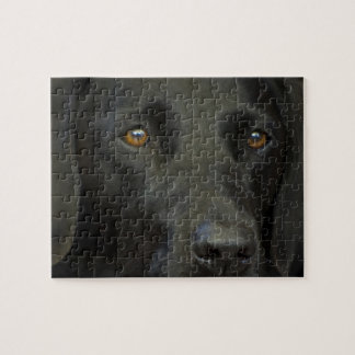 Black Labrador Dog Jigsaw Puzzle