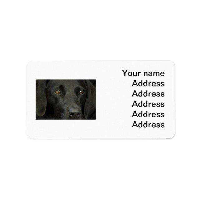 Black Labrador Dog Label (Front)