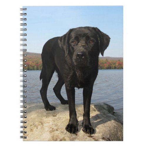 Black Labrador Dog Lover Puppy  Notebook