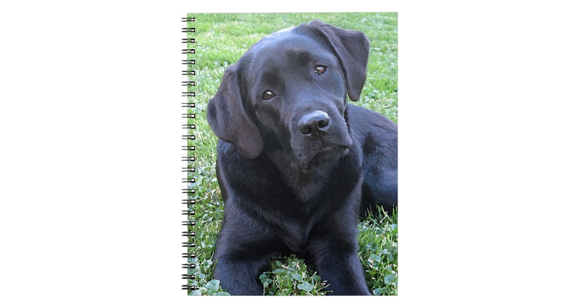 Black Labrador Dog Lover Puppy Notebook | Zazzle