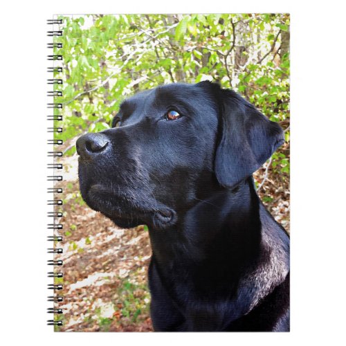 Black Labrador Dog Lover Puppy  Notebook