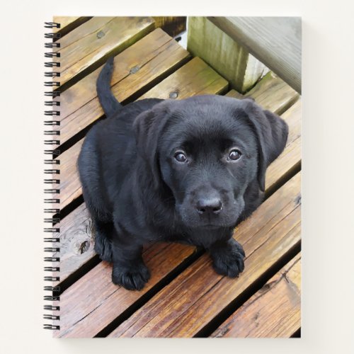 Black Labrador Dog Lover Puppy  Notebook