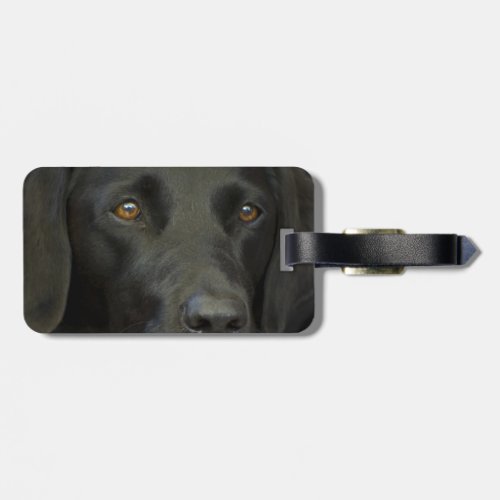 Black Labrador Dog Luggage Tag