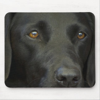 Black Labrador Dog Mouse Pad