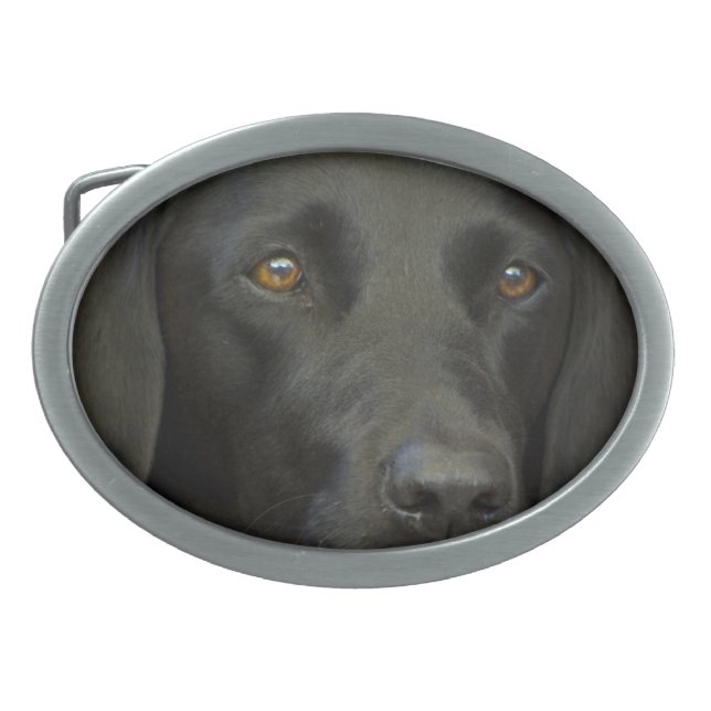 Black Labrador Dog Oval Belt Buckle (Front)