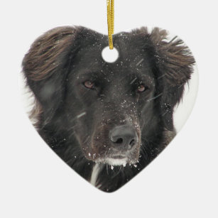 Black Labrador Dog Pet Photo Ceramic Ornament