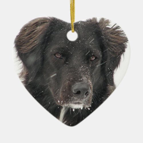 Black Labrador Dog Pet Photo Ceramic Ornament