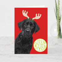 Black Labrador Dog PetCristmas Tennis Ball Funny